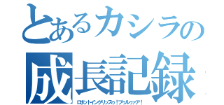 とあるカシラの成長記録（ロボットイングリッスゥ！ブゥルゥァア！）