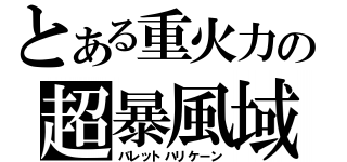 とある重火力の超暴風域（バレットハリケーン）