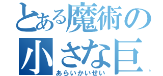 とある魔術の小さな巨人（あらいかいせい）