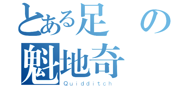 とある足の魁地奇（Ｑｕｉｄｄｉｔｃｈ ）