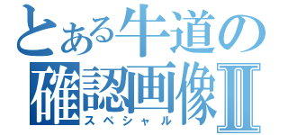 とある牛道の確認画像Ⅱ（スペシャル）