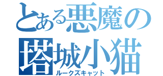 とある悪魔の塔城小猫（ルークズキャット）