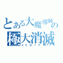 とある大魔導師の極大消滅呪文（メドローア）