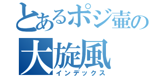 とあるポジ壷の大旋風（インデックス）