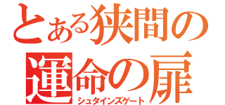 とある狭間の運命の扉（シュタインズゲート）