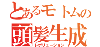 とあるモトムの頭髪生成（レボリューション）