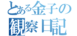 とある金子の観察日記（）