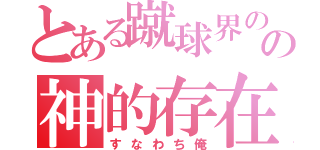 とある蹴球界のの神的存在（すなわち俺）