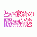 とある家綺の傲嬌病態（インデックス）