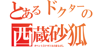 とあるドクターの西蔵砂狐眼（チベットスナギツネのまなざし）