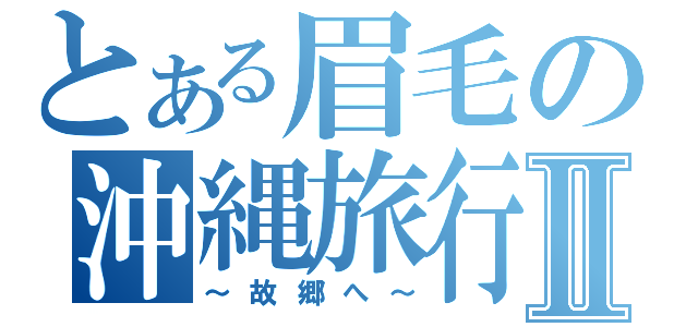 とある眉毛の沖縄旅行Ⅱ（～故郷へ～）