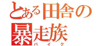 とある田舎の暴走族（バイク）