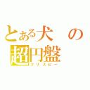 とある犬の超円盤（フリスビー）