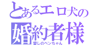 とあるエロ犬の婚約者様（愛しのベンちゃん）