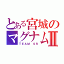 とある宮城のマグナム使いⅡ（ＴＥＡＭ ＳＲ）