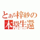 とある梓紗の本塁生還（ホーム・ラン）