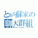 とある蘇家の聊天群組（Ｗｈａｔｓａｐｐ）