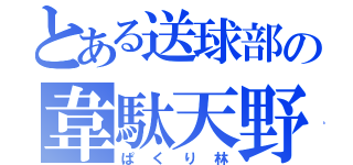 とある送球部の韋駄天野郎（ぱくり林）