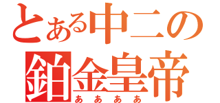 とある中二の鉑金皇帝（ああああ）