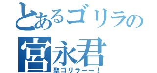 とあるゴリラの宮永君（聖ゴリラーー！）