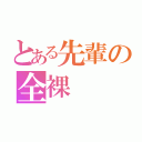 とある先輩の全裸（）