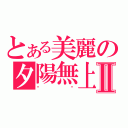 とある美麗の夕陽無上限Ⅱ（喵喵）