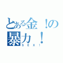 とある金！の暴力！（ＳＥＸ！）