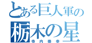 とある巨人軍の栃木の星（寺内崇幸）