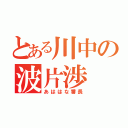 とある川中の波片渉（あははな番長）