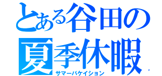 とある谷田の夏季休暇（サマーバケイション）