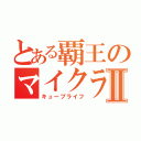 とある覇王のマイクラ生活Ⅱ（キューブライフ）