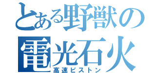 とある野獣の電光石火（高速ピストン）