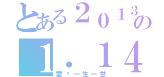 とある２０１３の１．１４（愛你一生一世）