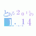 とある２０１３の１．１４（愛你一生一世）