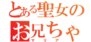 とある聖女のお兄ちゃん（マリア）