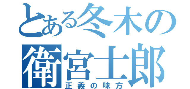 とある冬木の衛宮士郎（正義の味方）