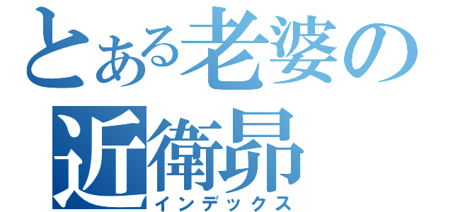 とある老婆の近衛昴（インデックス）