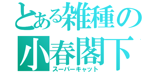 とある雑種の小春閣下（スーパーキャット）