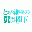 とある雑種の小春閣下（スーパーキャット）