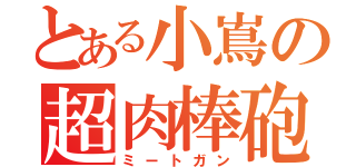 とある小嶌の超肉棒砲（ミートガン）