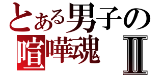 とある男子の喧嘩魂Ⅱ（）