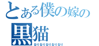 とある僕の嫁の黒猫（るりるりるりるりるり）