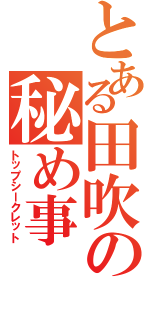 とある田吹の秘め事（トップシークレット）