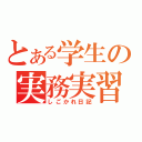 とある学生の実務実習（しごかれ日記）