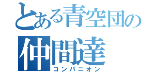 とある青空団の仲間達（コンパニオン）