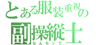 とある服装重視の副操縦士（なんちって）