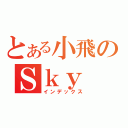 とある小飛のＳｋｙ（インデックス）