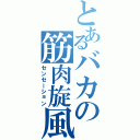 とあるバカの筋肉旋風（センセーション）