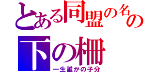 とある同盟の名の下の柵（一生誰かの子分）