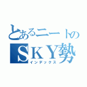 とあるニートのＳＫＹ勢（インデックス）